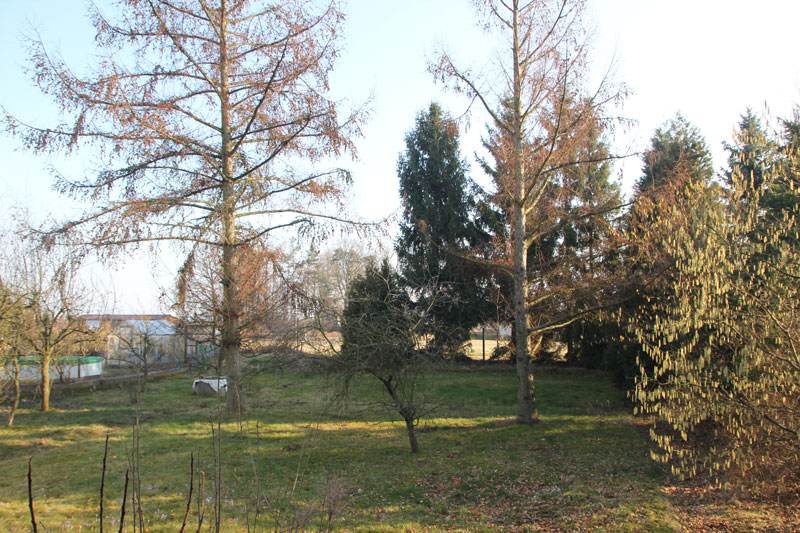 Baugrundstück-Ullersdorf