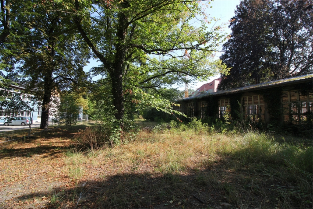 Real Estate Title Image Background